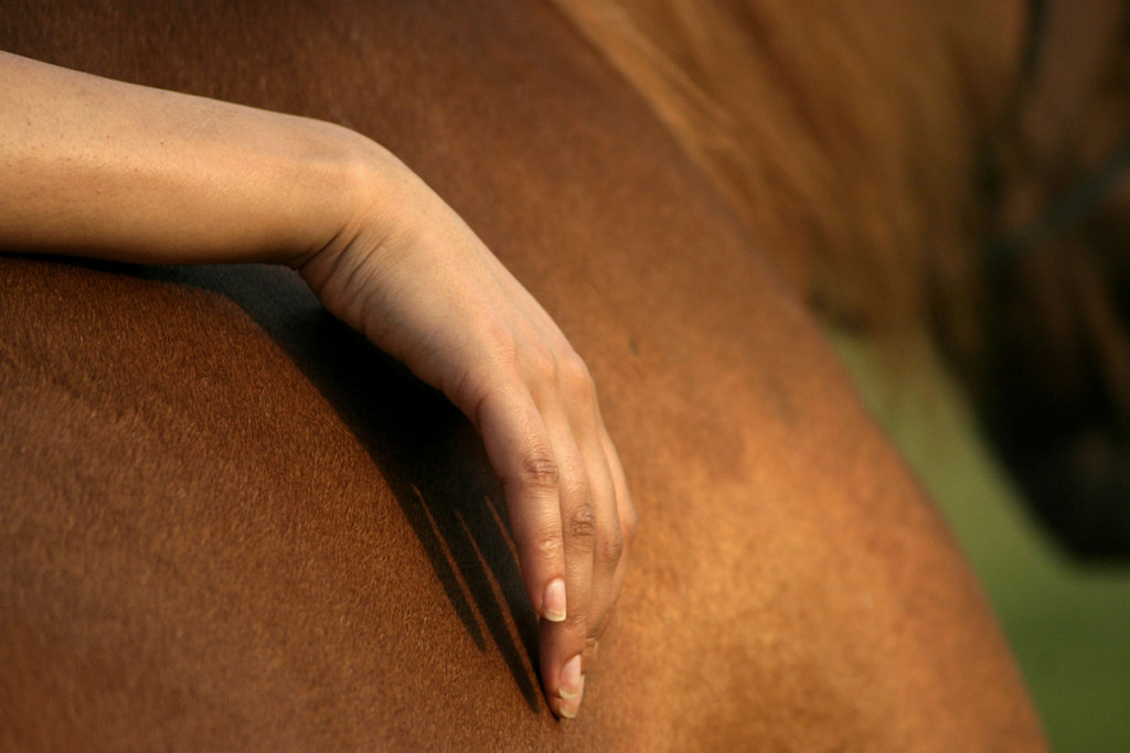 Woman enjoying Equine therapy near me