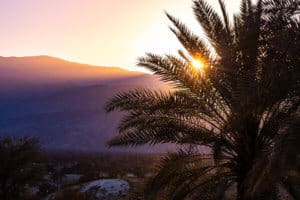 outpatient drug rehab