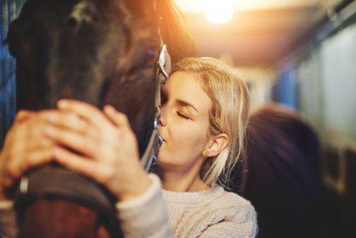 equine therapy