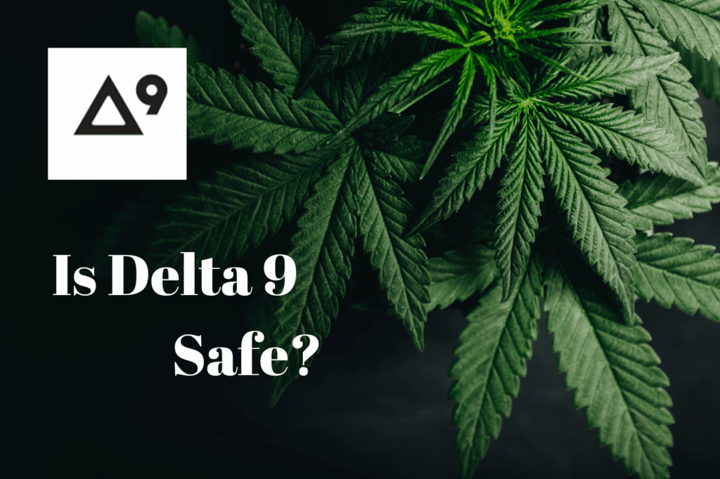 Is Delta 9 Safe?