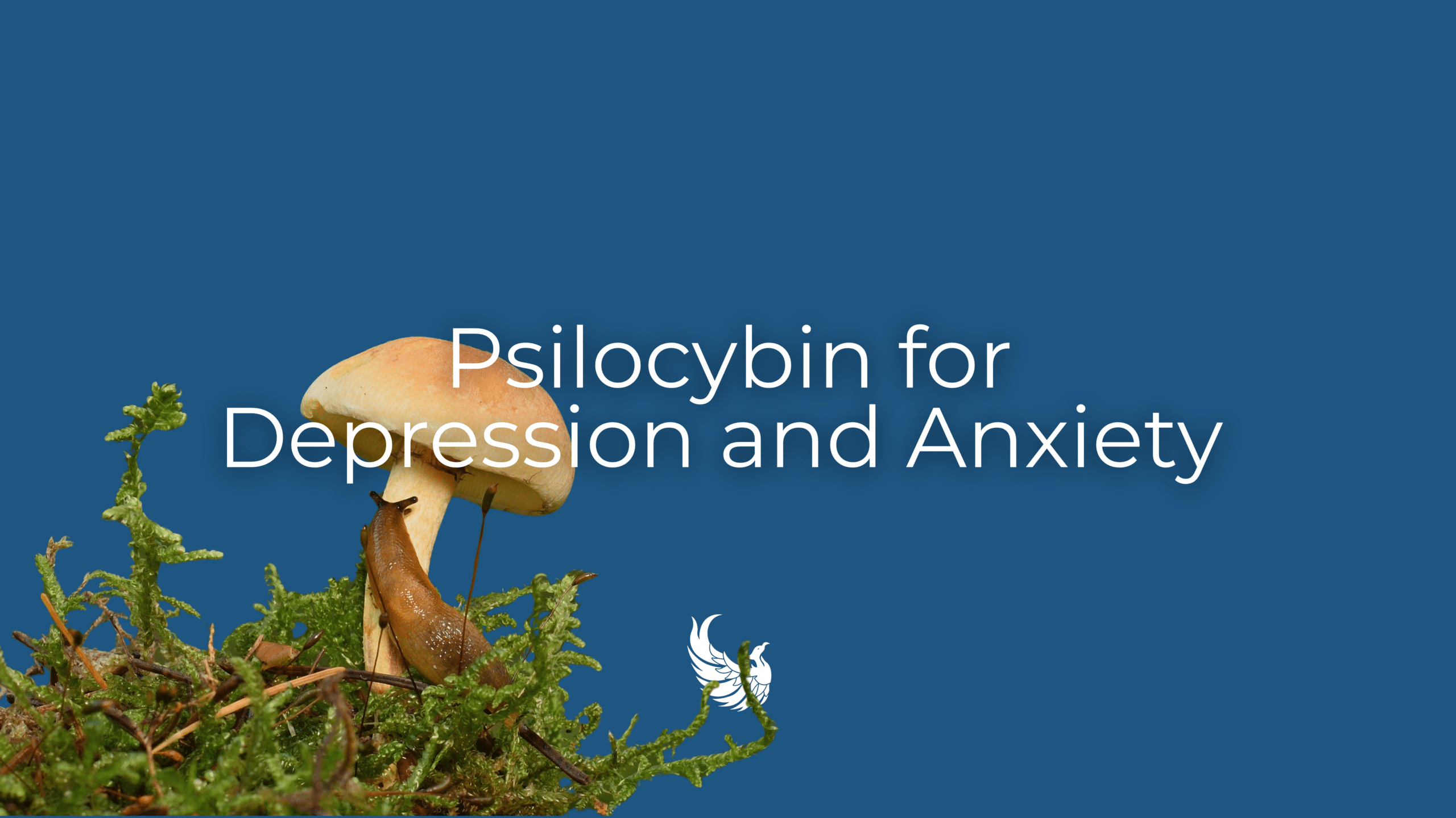 Psilocybin for Depression and Anxiety